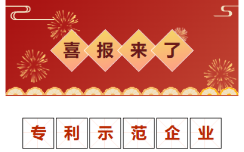 喜報！金華市專利示范企業(yè)！